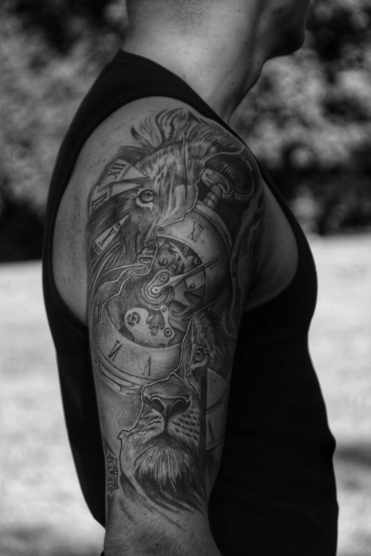 Black-and-grey lion and pocket-watch sleeve with gradient grey shading on the upper arm